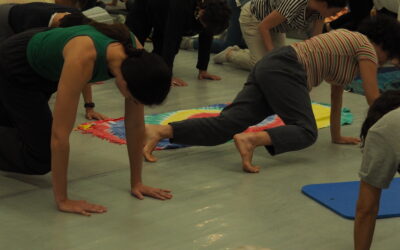 Título: ¡Ya está aquí el II Congreso Nacional de Feldenkrais!